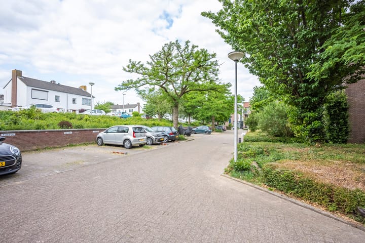 Photo 20 of Insula 91