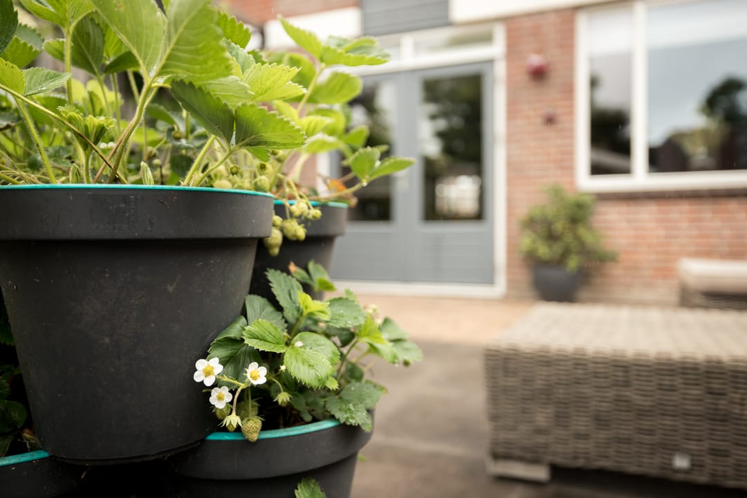 Foto 32 van Steker 37