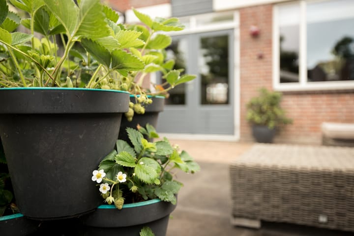 Foto 32 van Steker 37