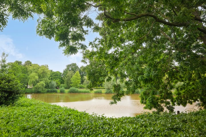 Foto 37 van Weide 38