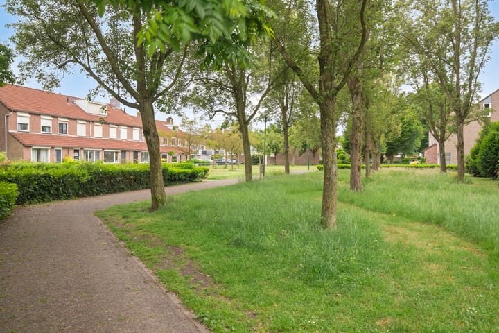 Foto 38 van Weide 38