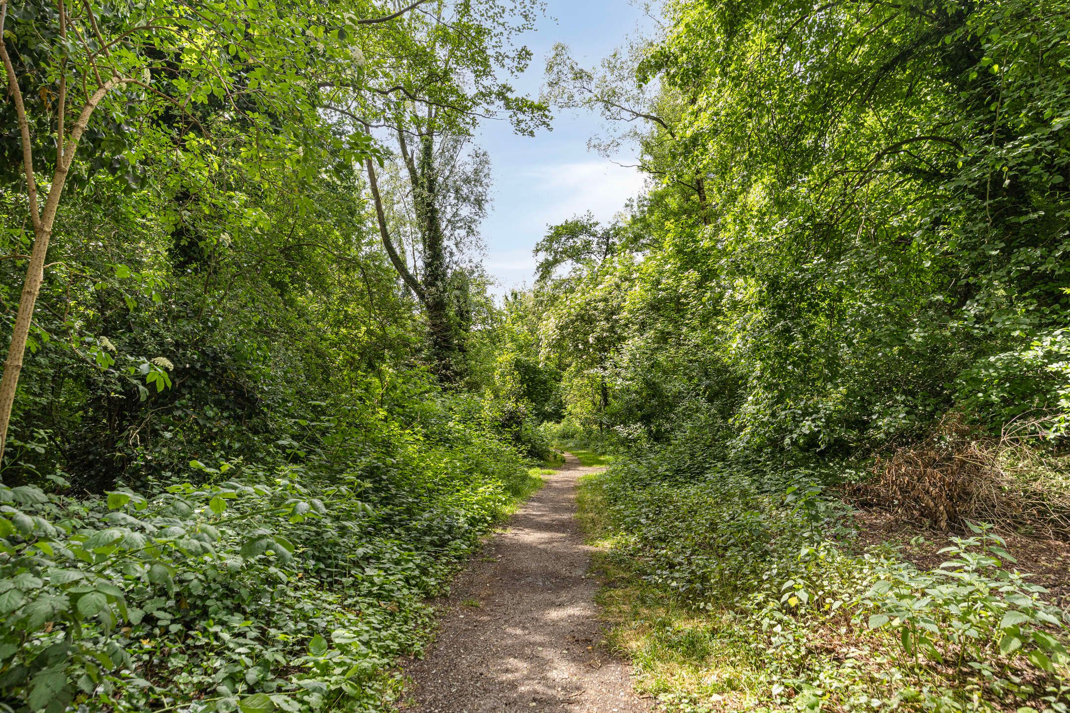 Foto 27 van Gerrit van Eykenerf 8