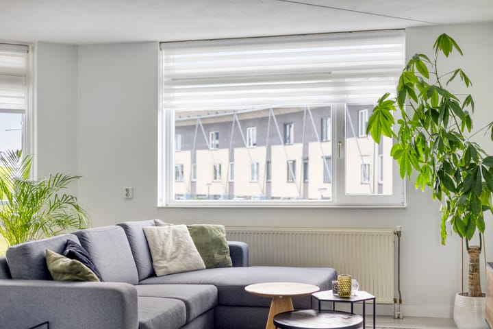 Foto 7 van Muntmeester 77