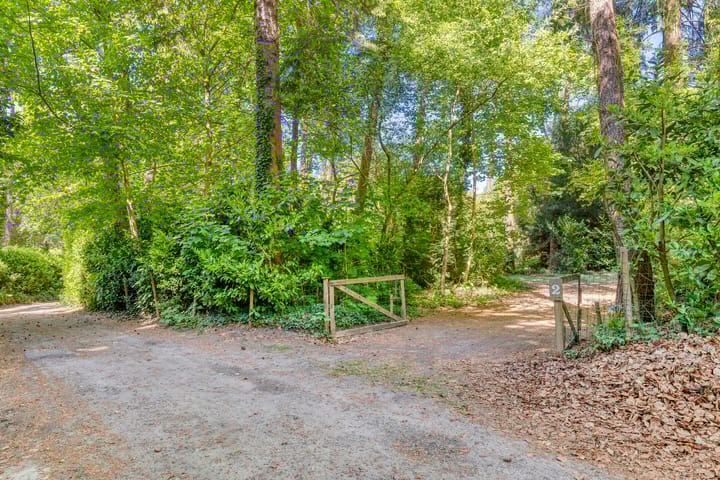 Foto 5 van Dennenlaan 2