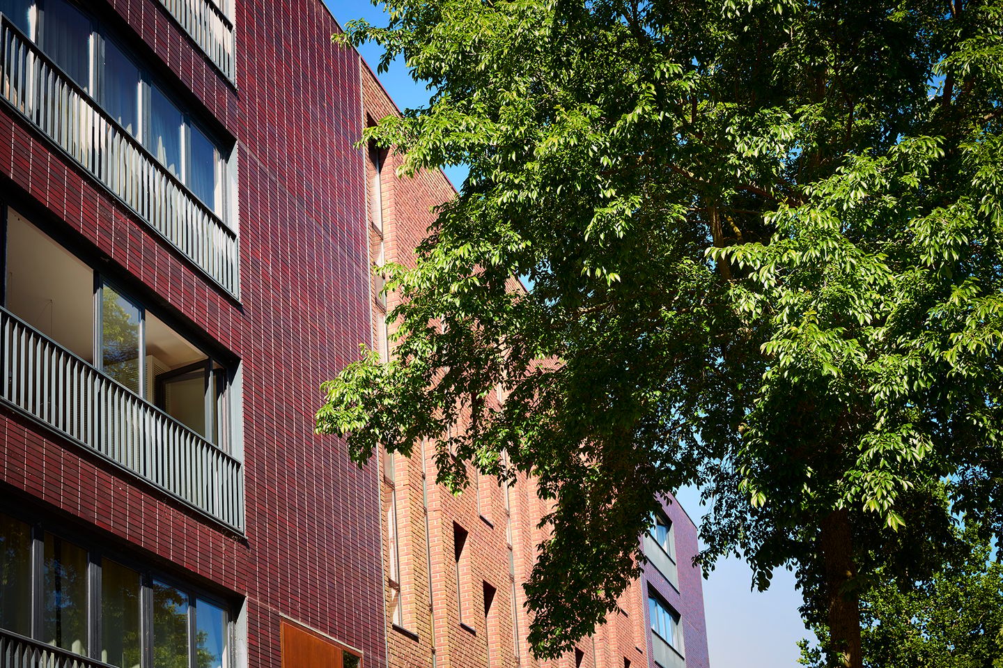 Foto 35 van Erich Salomonstraat 462