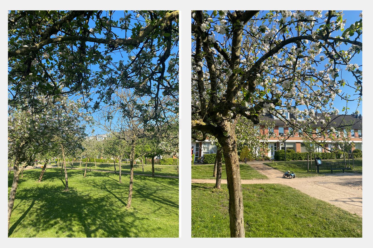 Foto 35 van Zoete Ermgaard 15