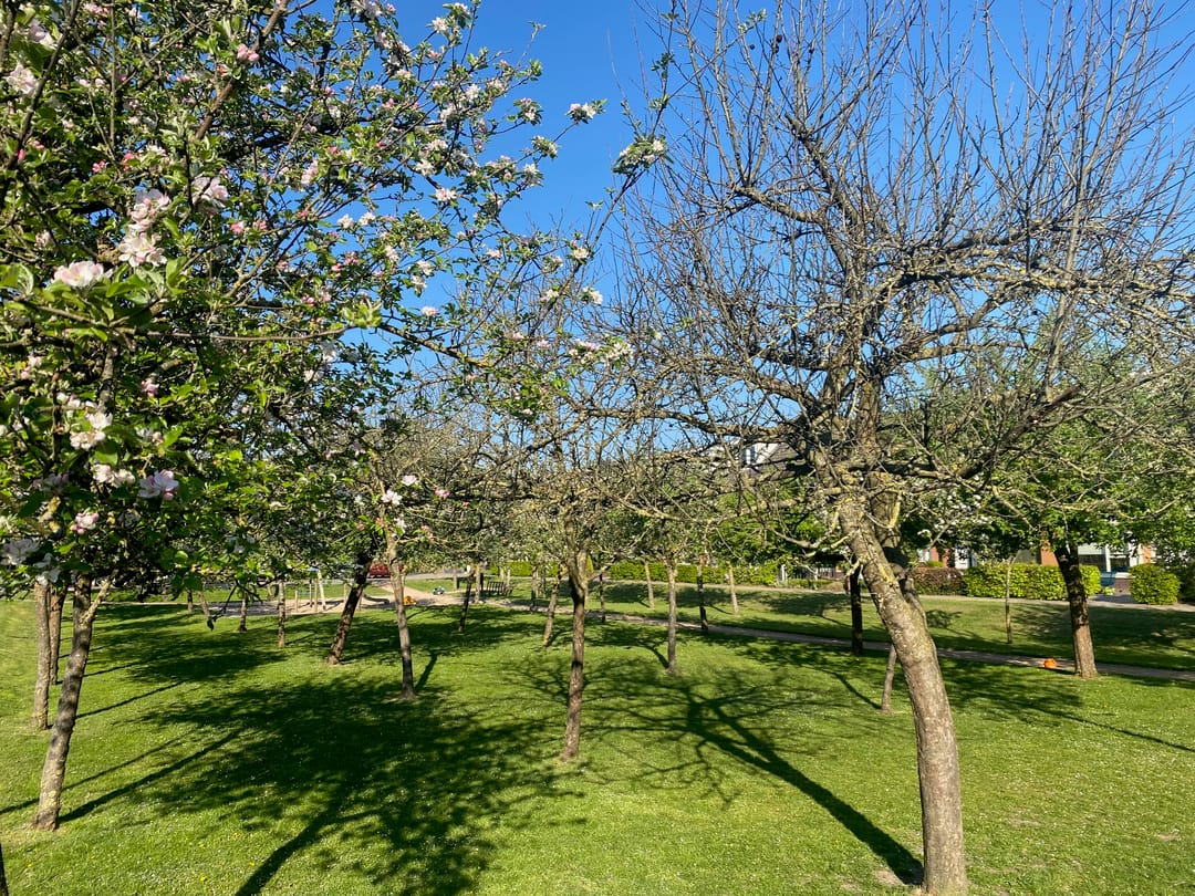 Foto 37 van Zoete Ermgaard 15