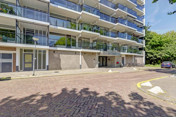 Foto 7 van Octant 138