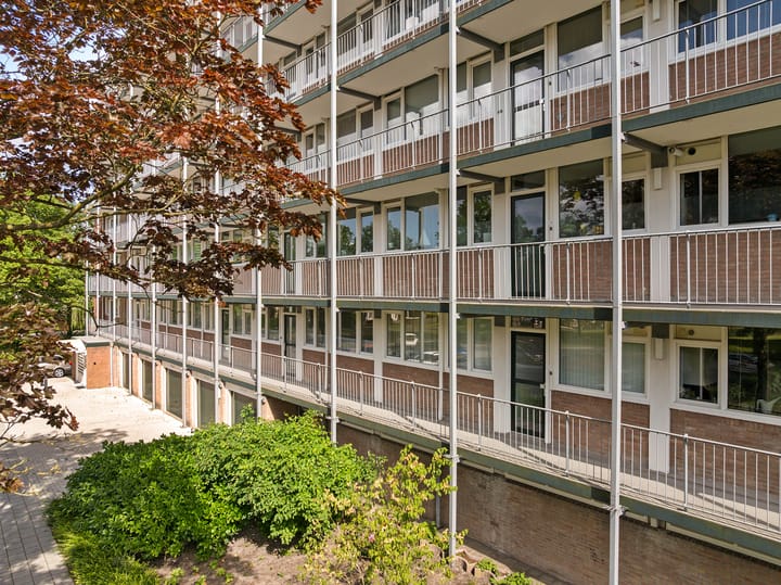 Foto 34 van Maria in Campislaan 9