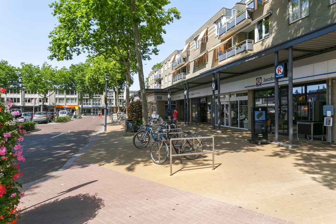 Foto 2 van Moleneindplein 155