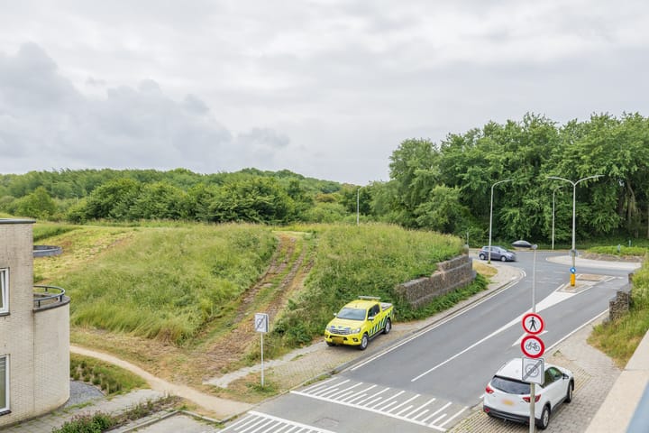 Foto 29 van Parnassia 4