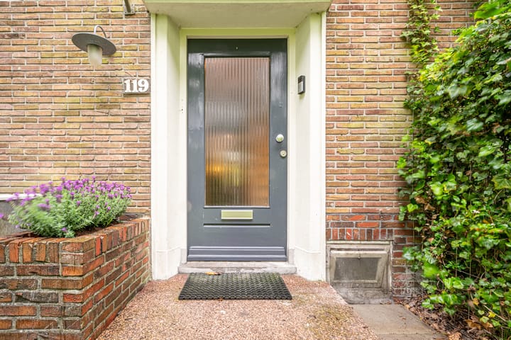 Foto 12 van Westerse Drift 119