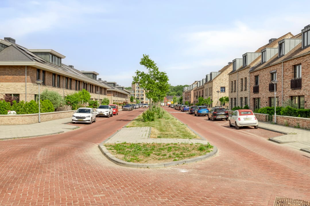 Foto 41 van Molenzigt 42