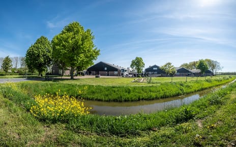 Bekijk foto's