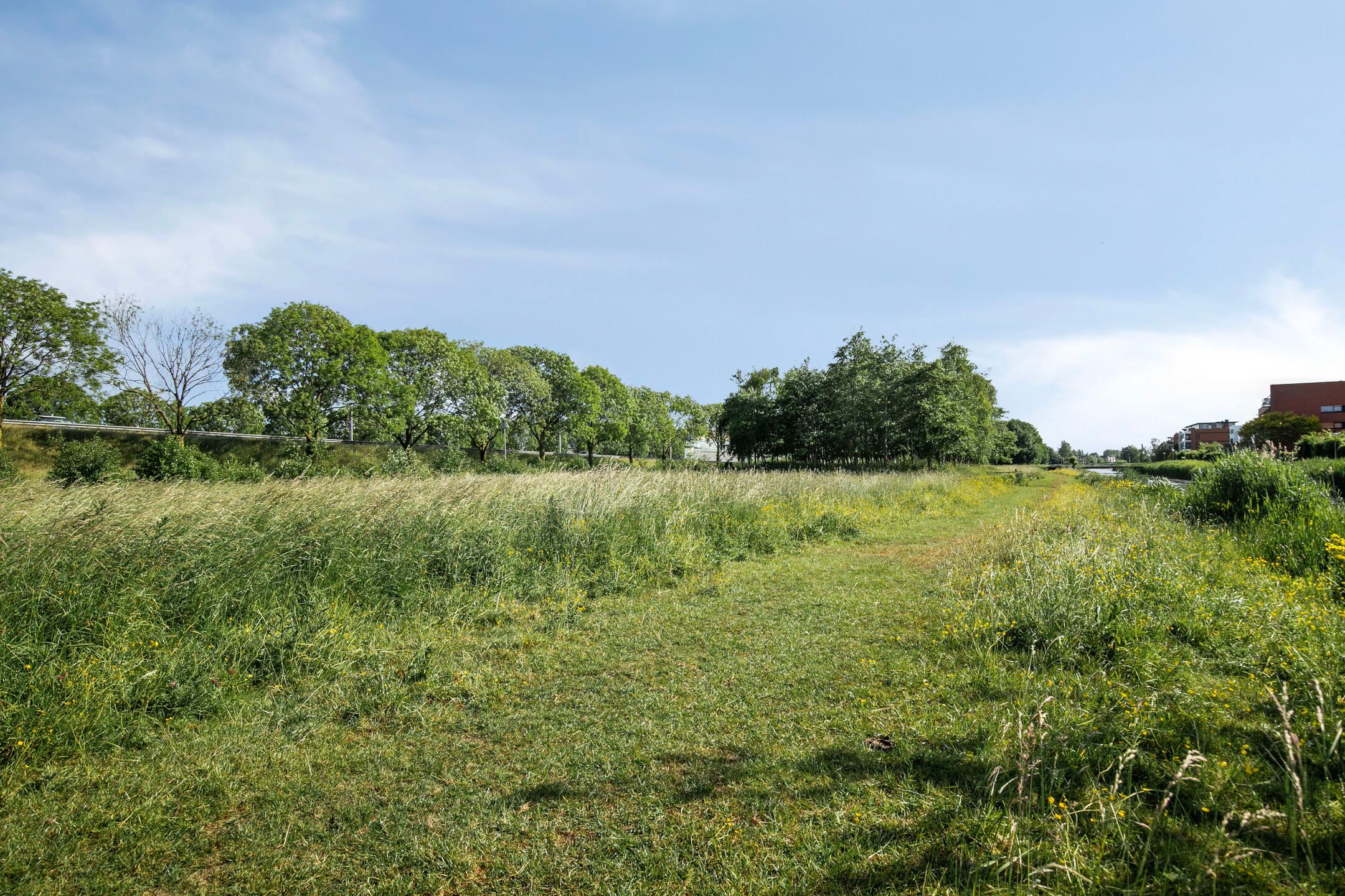 Foto 33 van Polderpeil 522