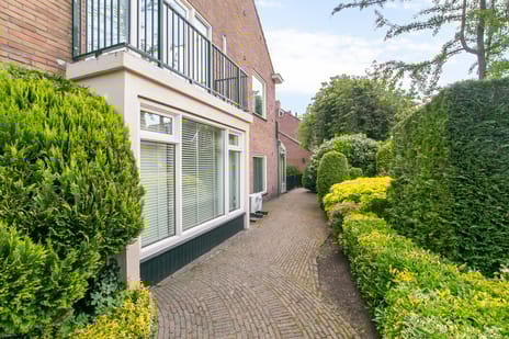 Tulpenburg 37 tertiary image