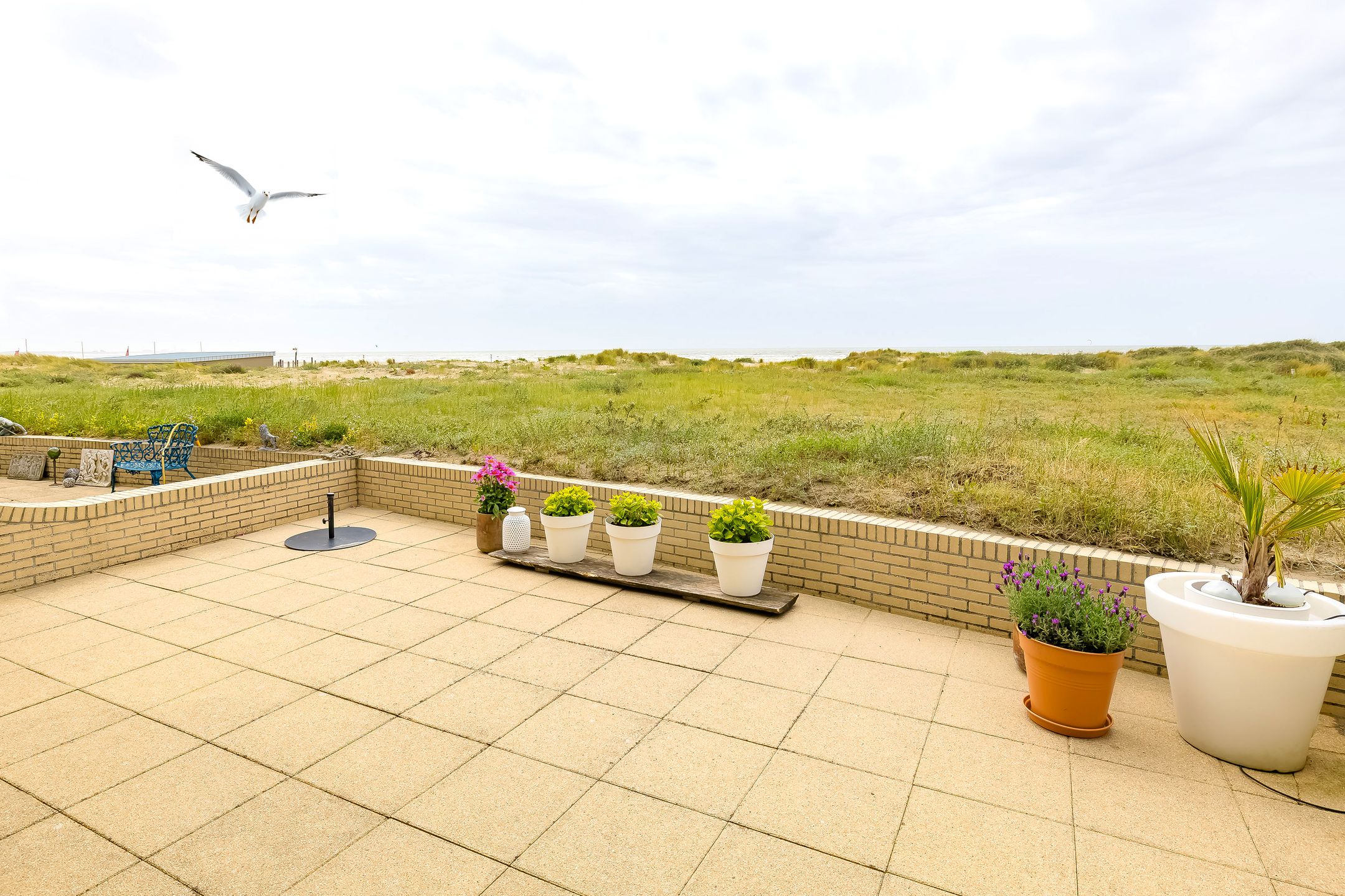 Foto 33 van Kennemerboulevard 604