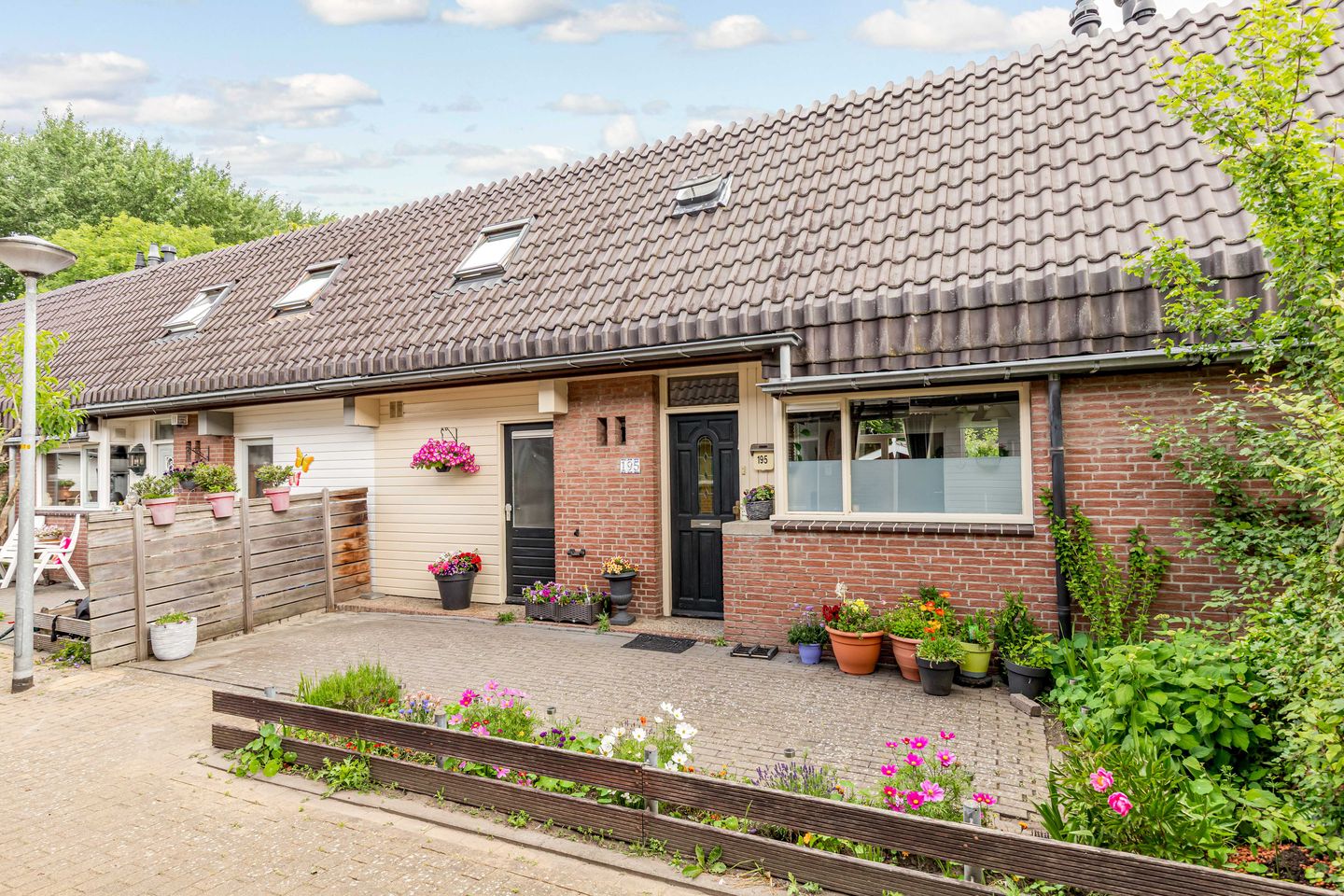 Rozenwerf 195 main image