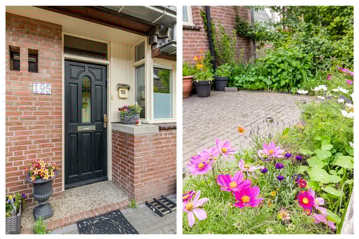 Foto 5 van Rozenwerf 195