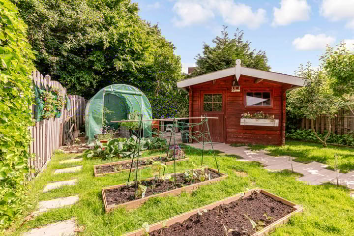 Foto 48 van Rozenwerf 195