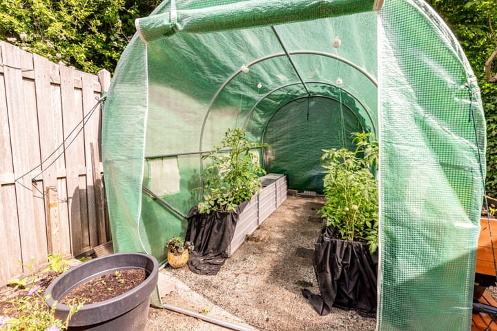 Foto 49 van Rozenwerf 195