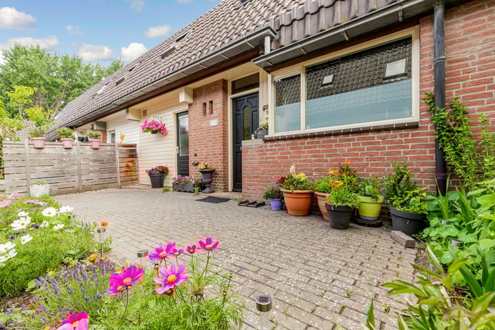 Foto 53 van Rozenwerf 195