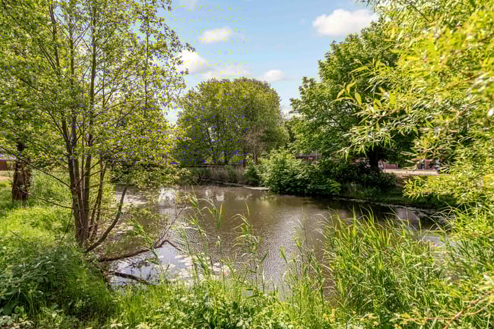 Foto 58 van Rozenwerf 195