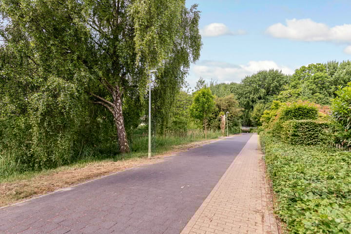 Foto 59 van Rozenwerf 195