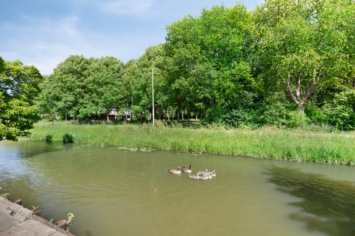 Photo 36 of Dijkje 161