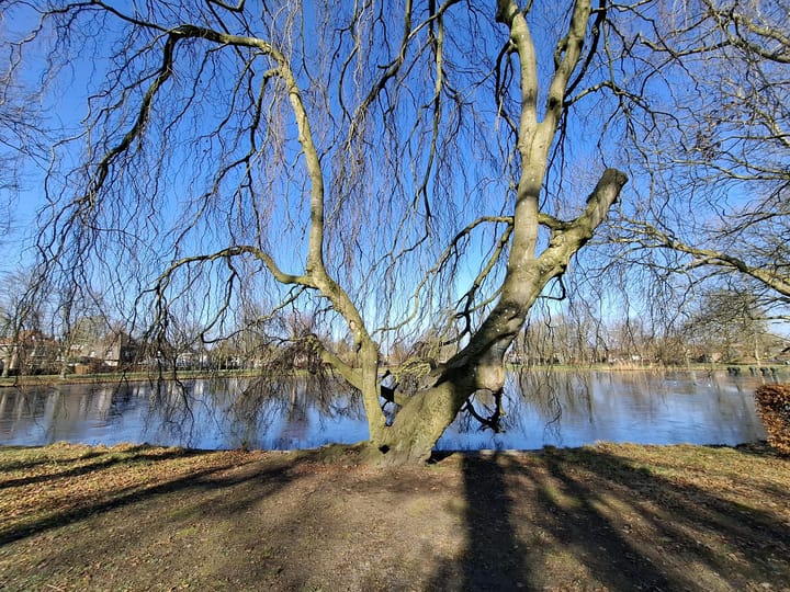 Foto 47 van Koenermaat 61