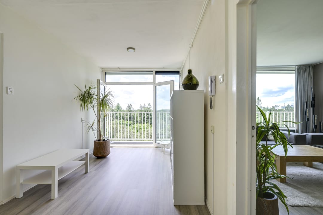 Foto 13 van Anna Paulownalaan 164