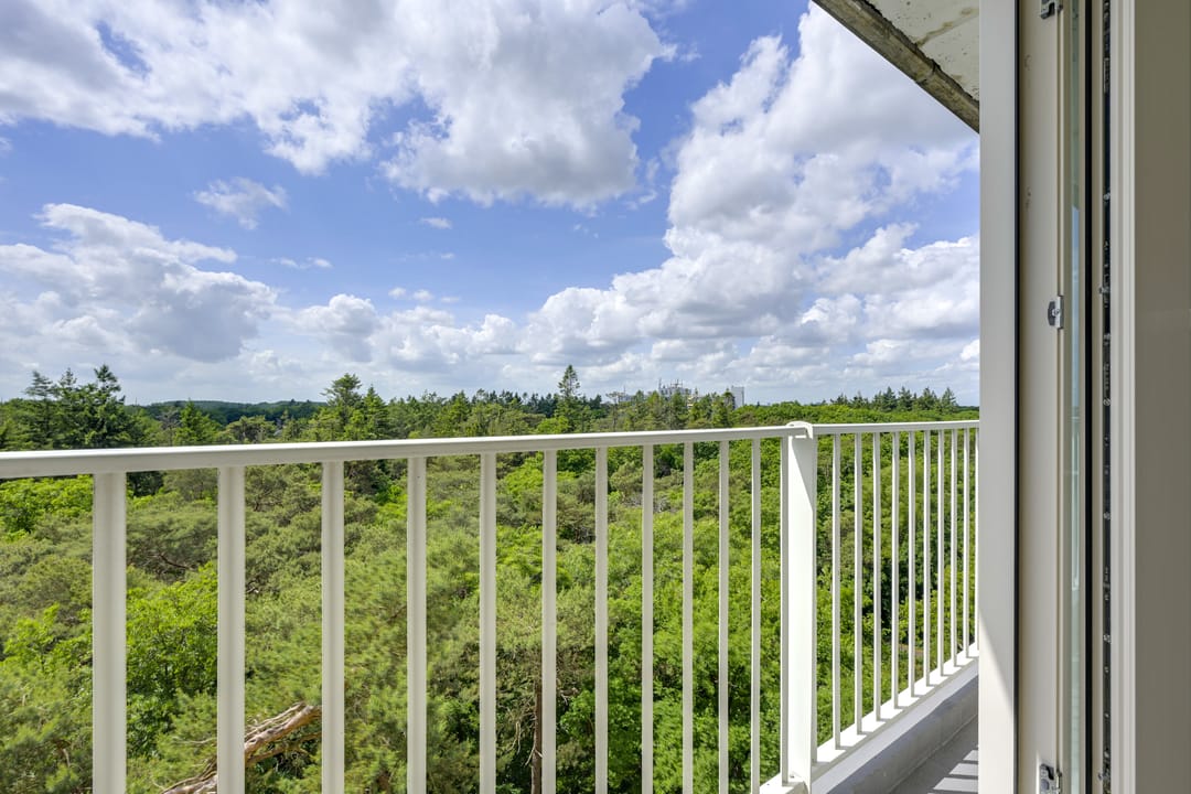 Foto 17 van Anna Paulownalaan 164