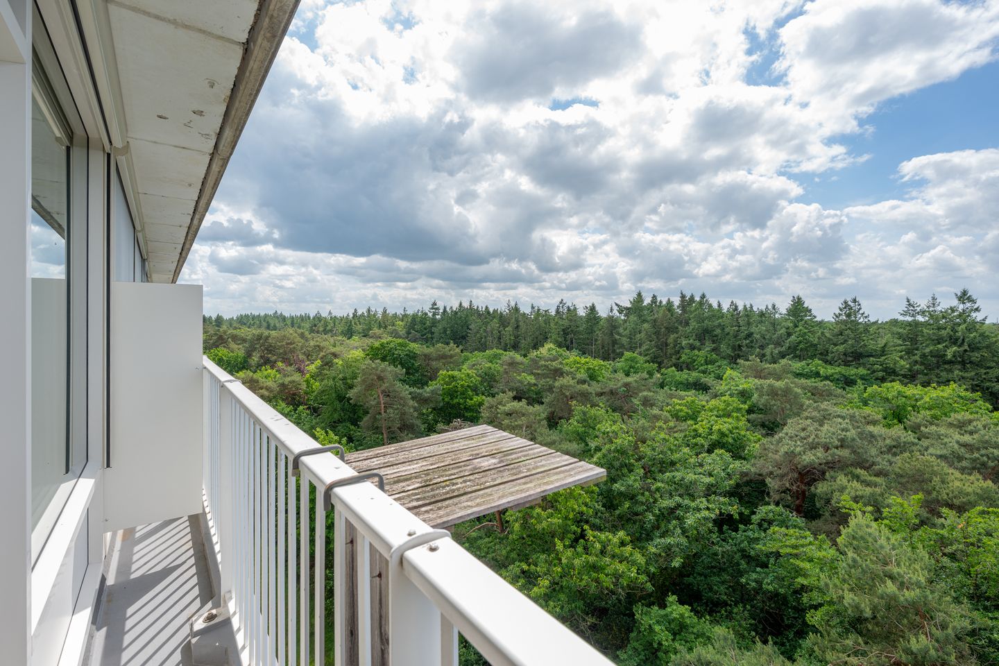 Foto 19 van Anna Paulownalaan 164