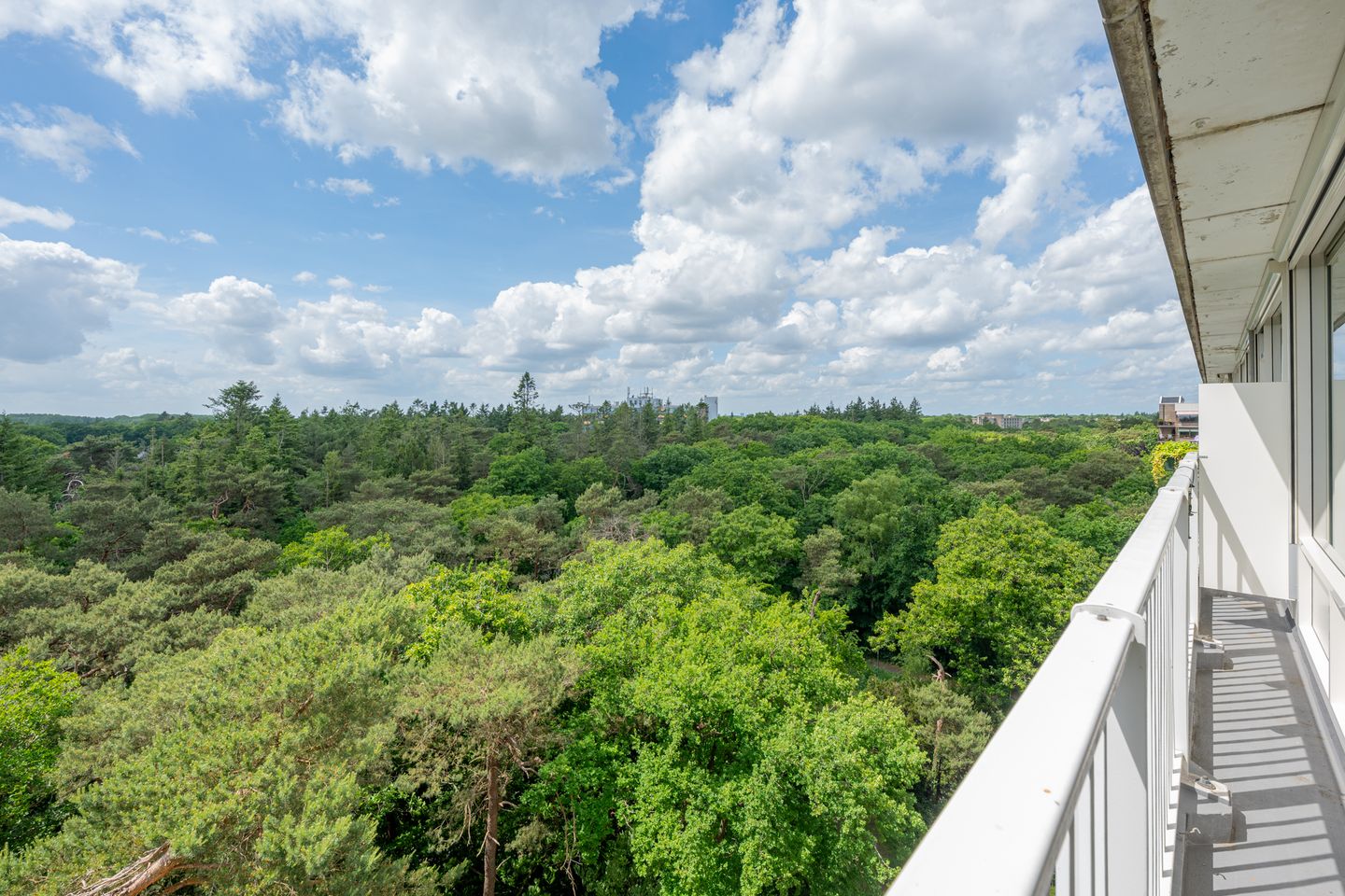 Foto 20 van Anna Paulownalaan 164