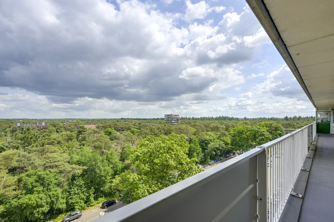 Foto 28 van Anna Paulownalaan 164