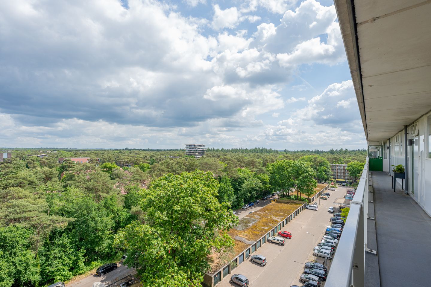 Foto 29 van Anna Paulownalaan 164