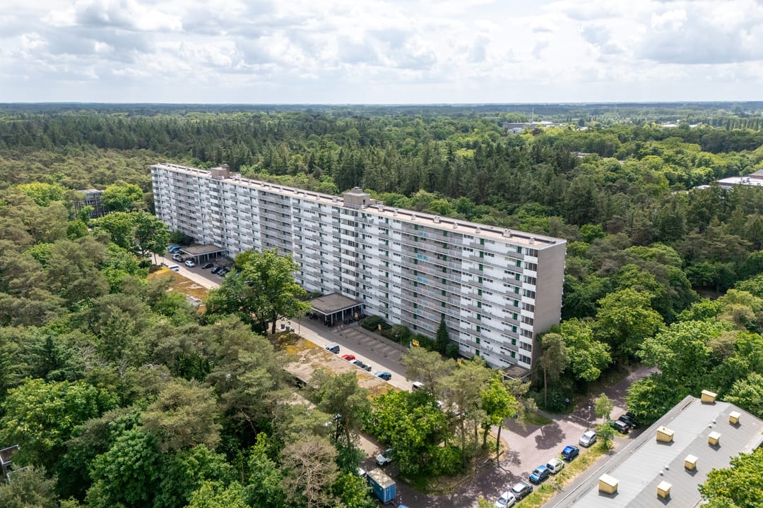 Foto 38 van Anna Paulownalaan 164