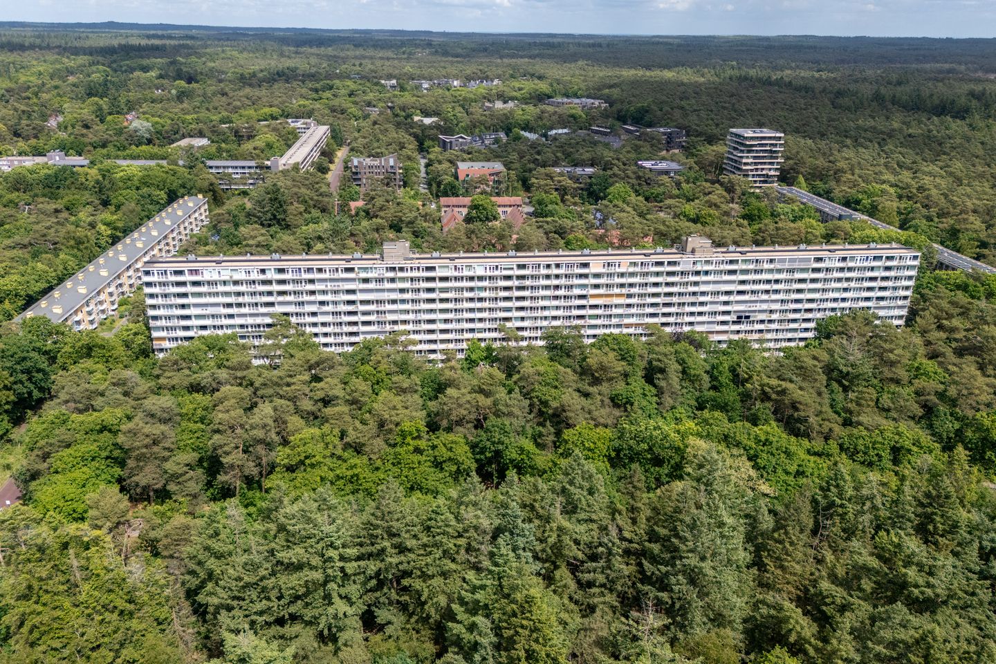 Foto 40 van Anna Paulownalaan 164