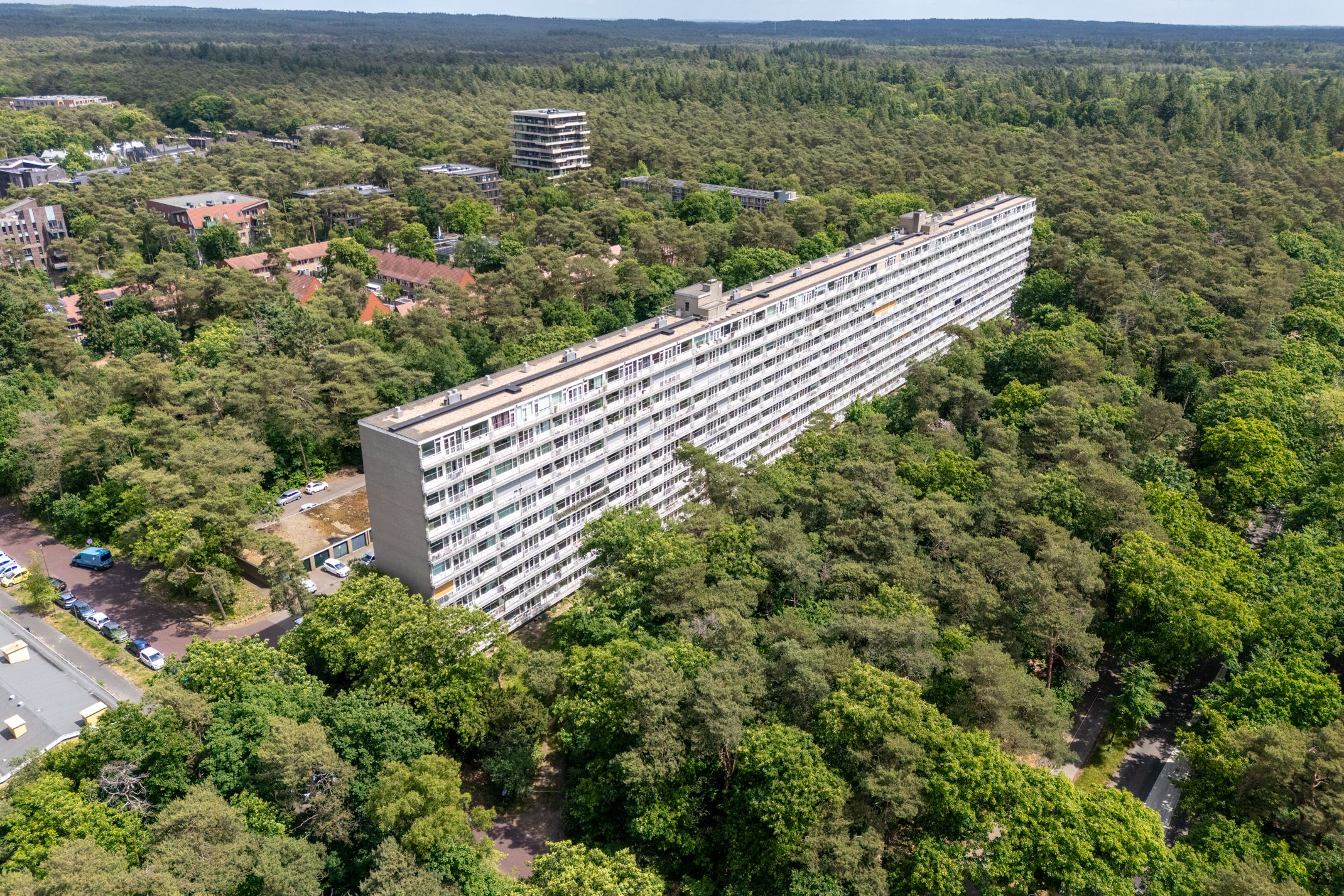 Foto 42 van Anna Paulownalaan 164