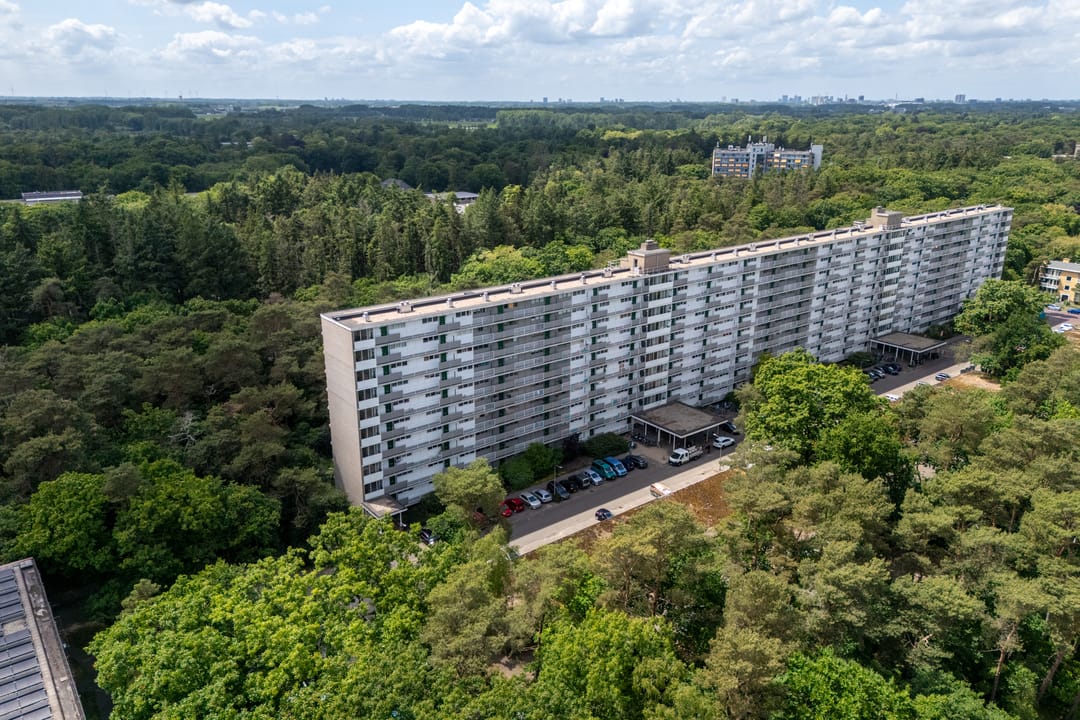 Foto 43 van Anna Paulownalaan 164