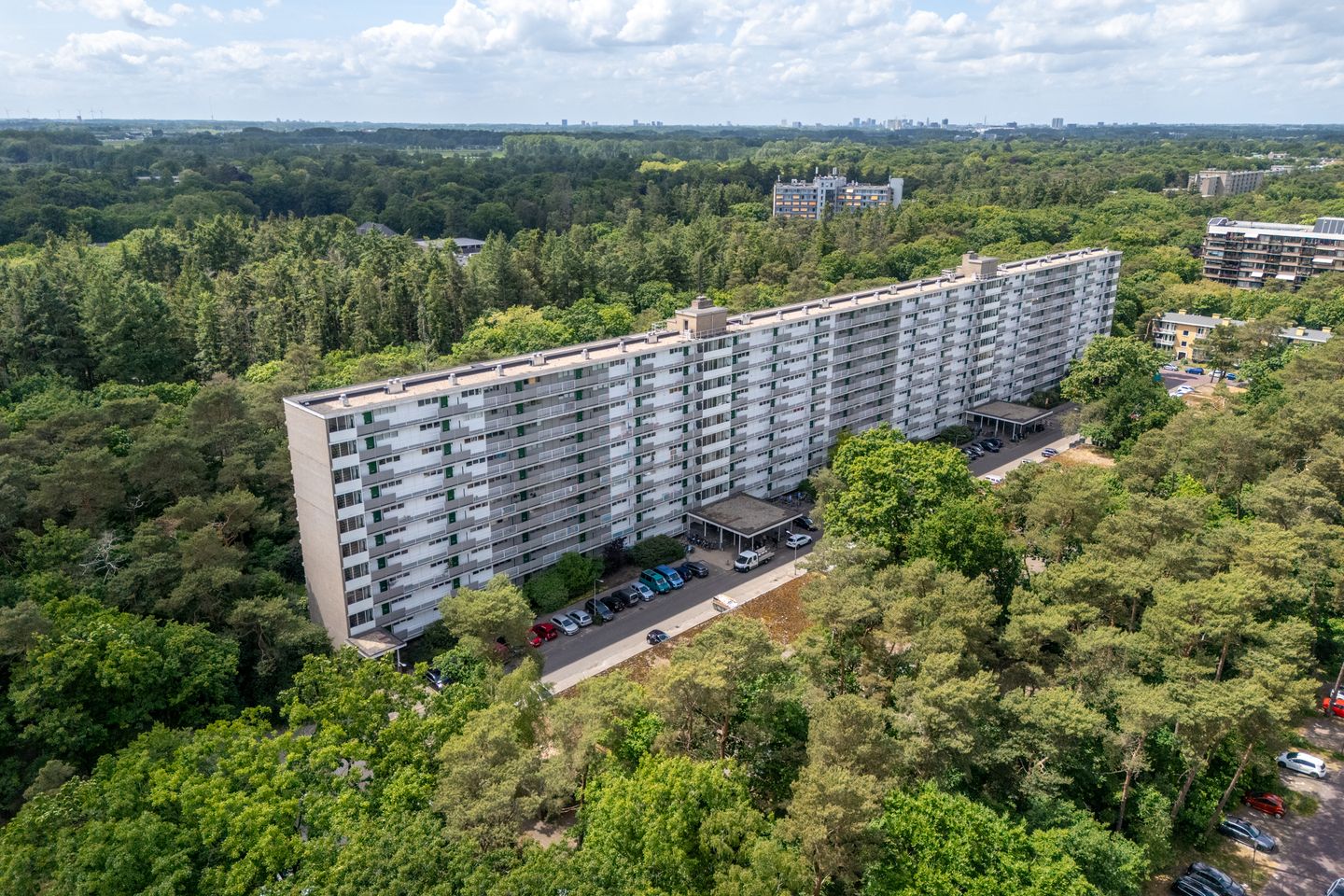 Foto 44 van Anna Paulownalaan 164