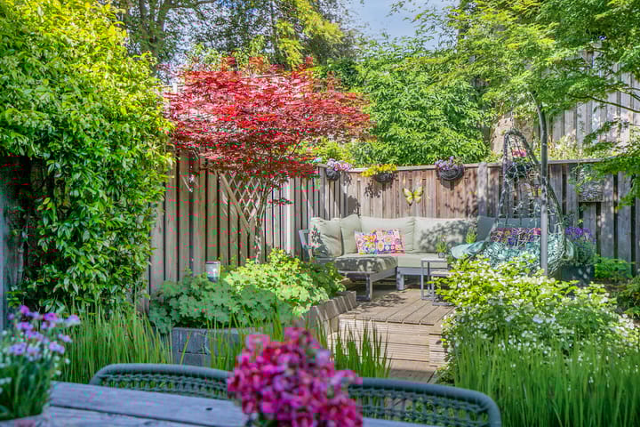 Foto 38 van Koffiebos 11