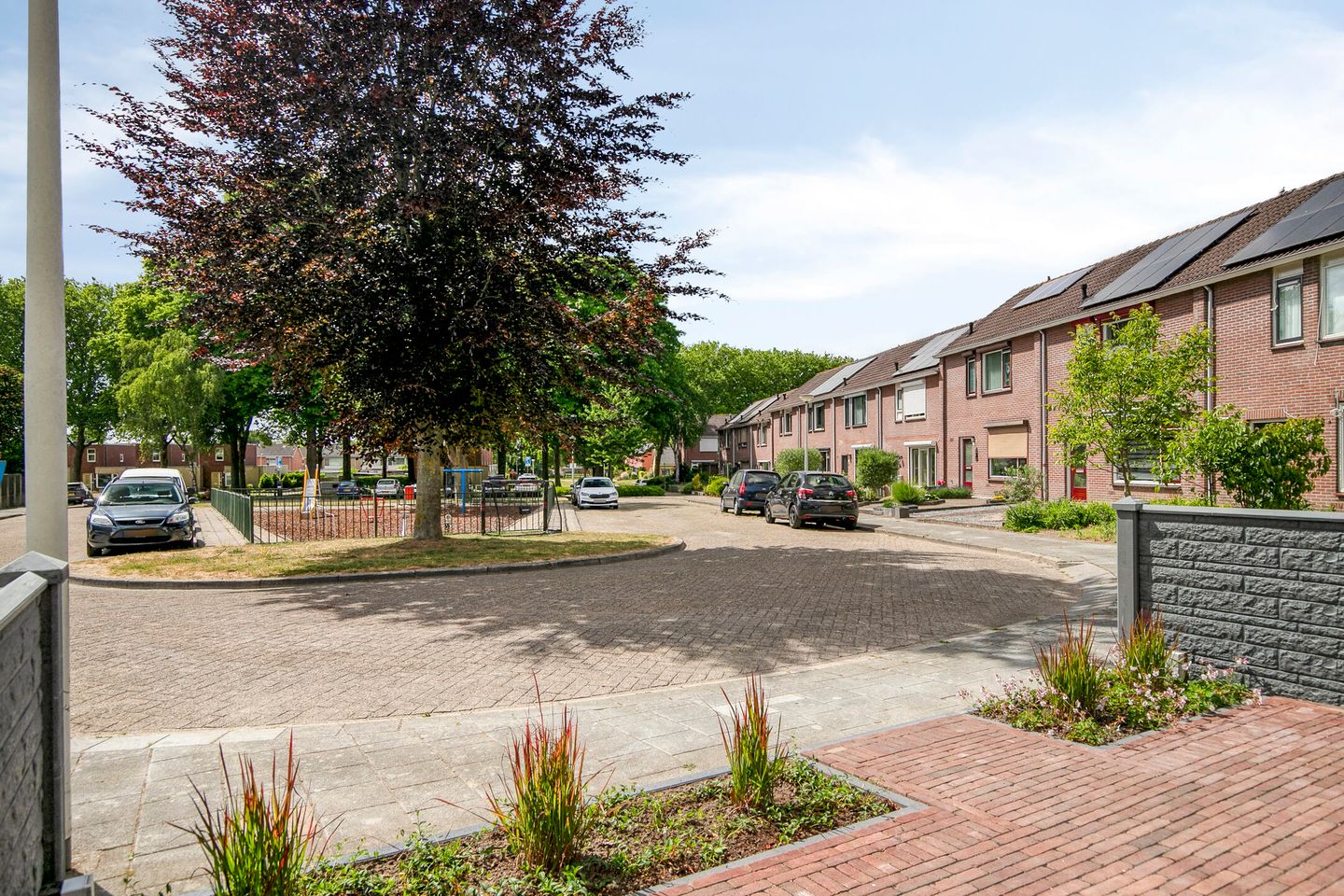 Foto 40 van Koffiebos 11