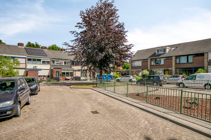 Foto 41 van Koffiebos 11