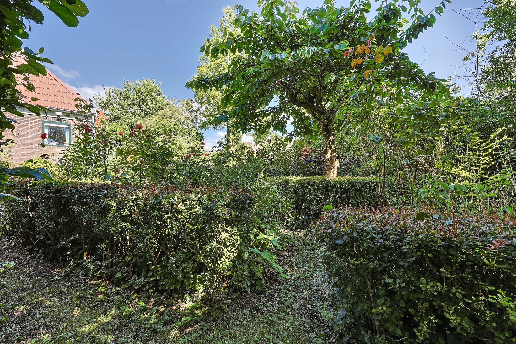 Photo 63 of Dorpsstraat 130