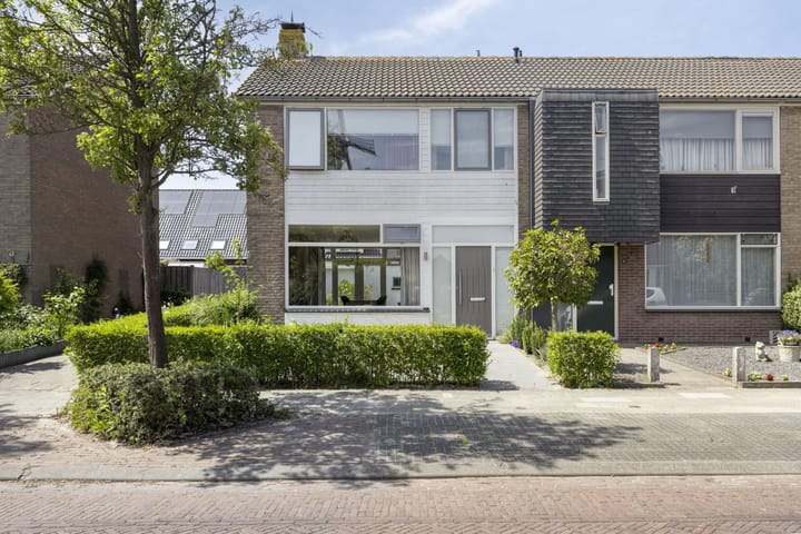 undefined main image