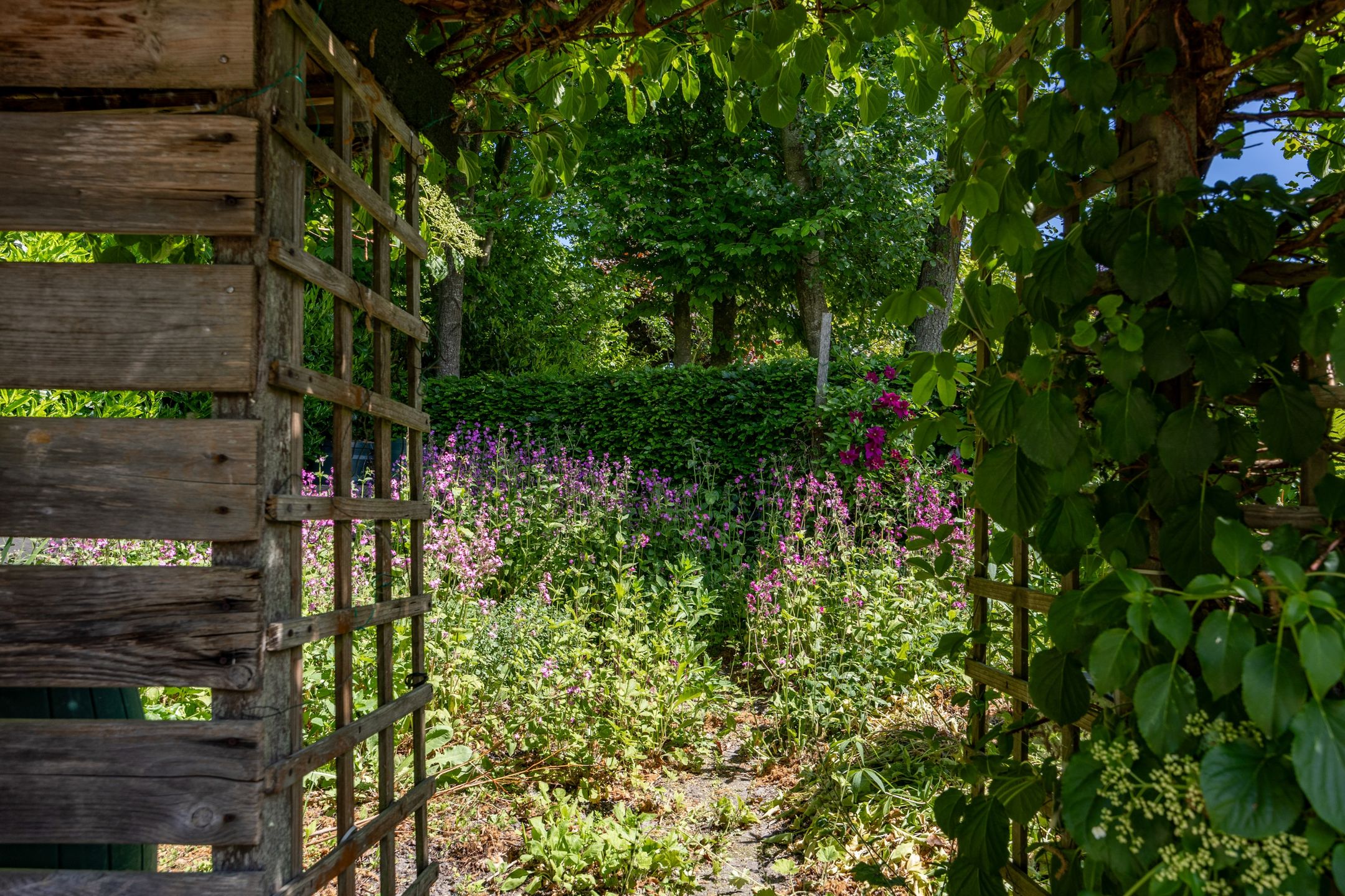 Foto 54 van Alberdaweg 125