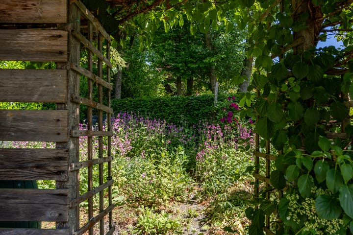 Photo 54 of Alberdaweg 125