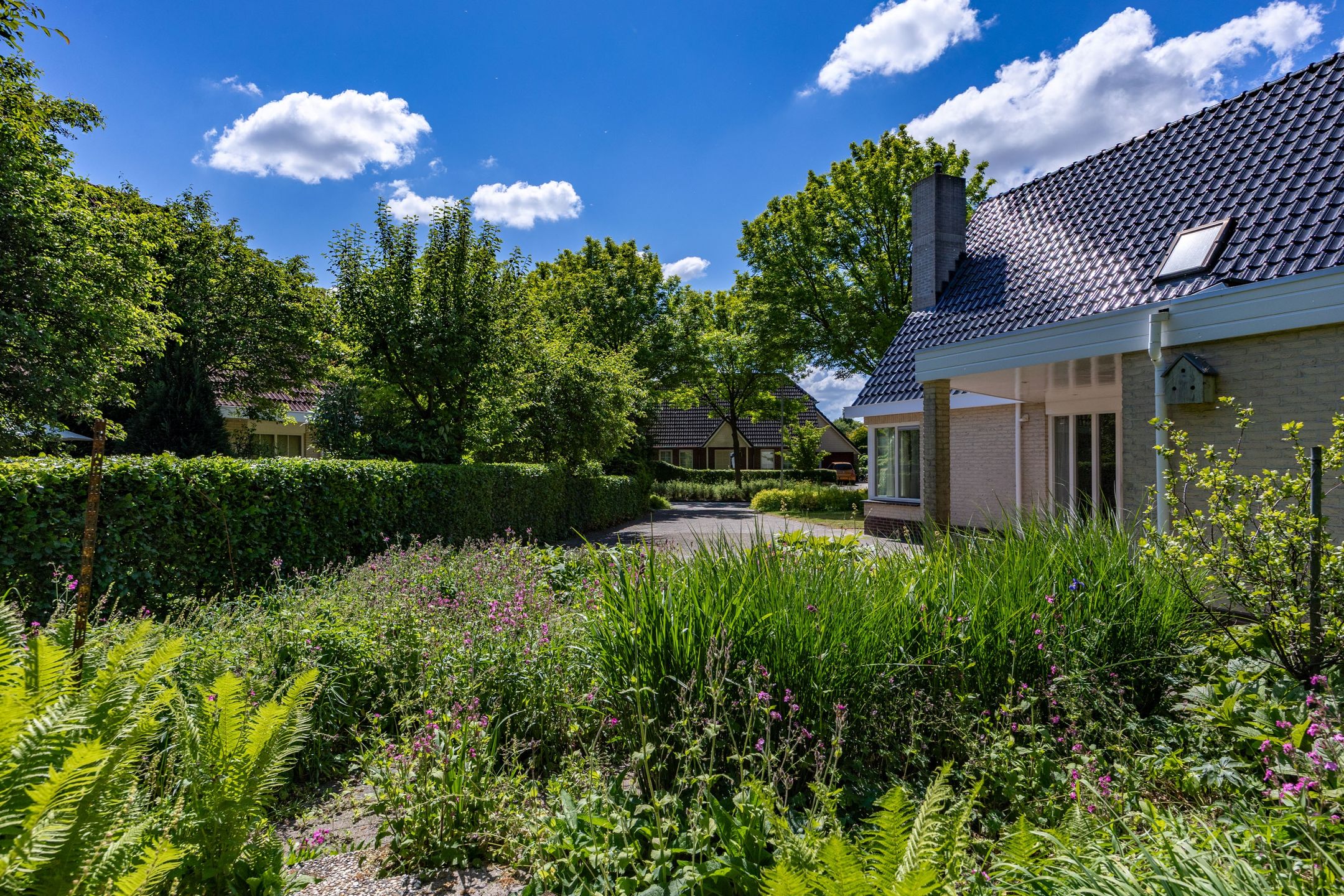 Foto 57 van Alberdaweg 125