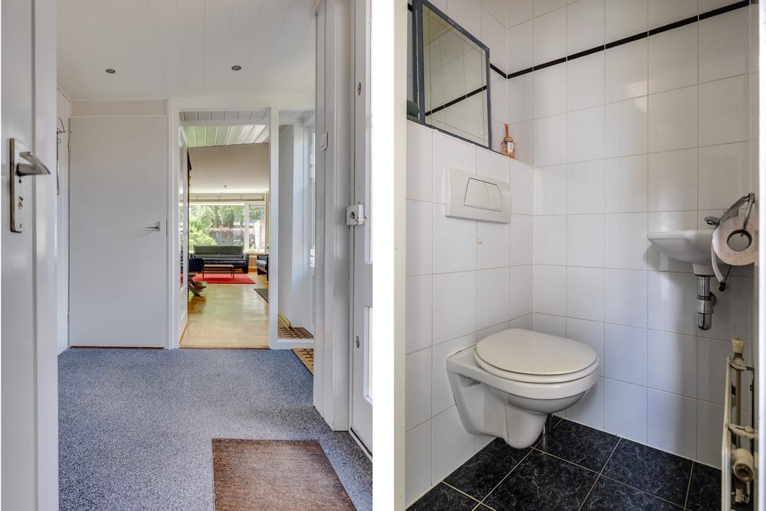 Foto 11 van Dashorst 14